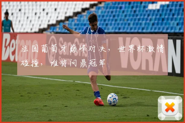 法国葡萄牙巅峰对决，世界杯激情碰撞，谁将问鼎冠军