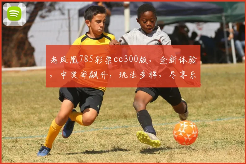 老凤凰785彩票cc300版，全新体验，中奖率飙升，玩法多样，尽享乐趣，不容错过