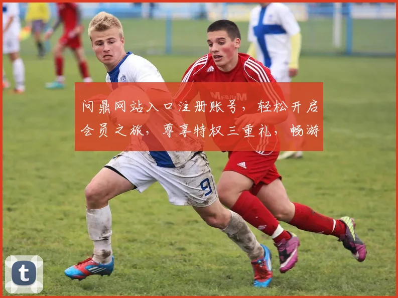 问鼎网站入口注册账号，轻松开启会员之旅，尊享特权三重礼，畅游云端，尊贵体验，一键注册，尽享非凡