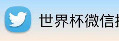 世界杯微信投注 logo